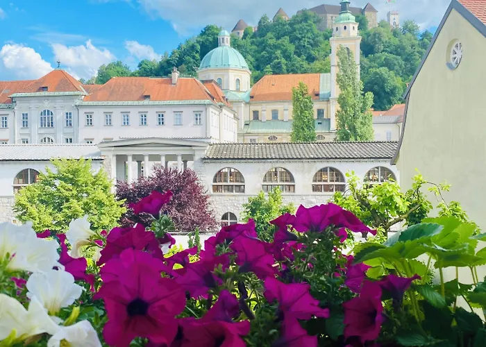 The Serenity Bed and Breakfast